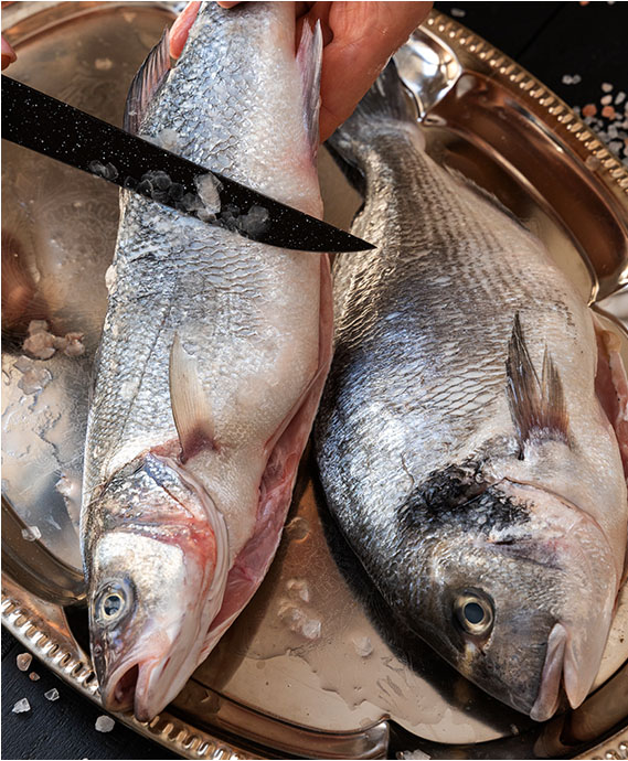 foto-03-pescados
